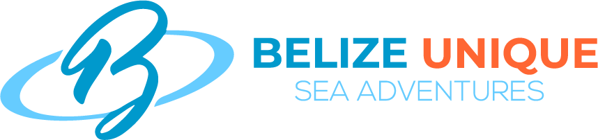 Logo of BelizeUniqueSeaAdventures Tour Guide